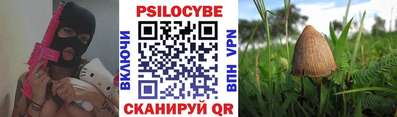 Псилоцибиновые грибы GOLDEN TEACHER  МЕГА как войти  Хилок 