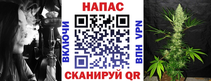 Конопля OG Kush  Хилок 